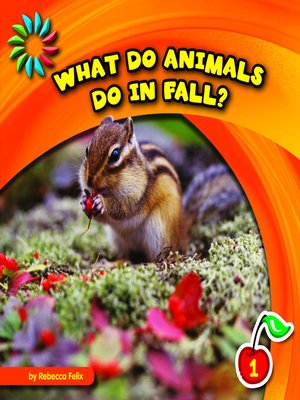 cover image of What Do Animals Do in Fall?